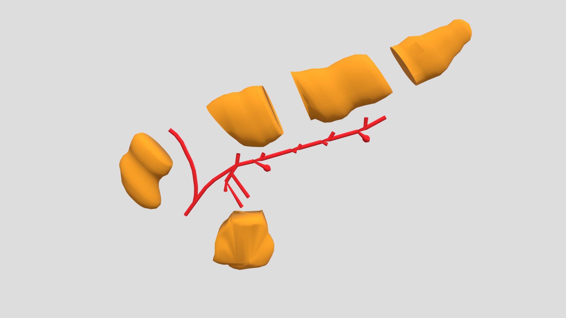 Pancreas
