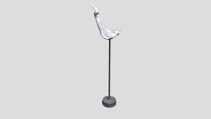 L'équilibriste 3D Model