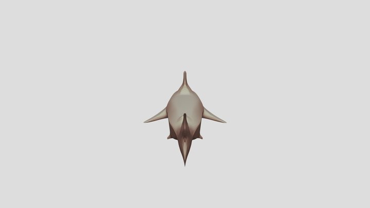 Grey Reef Shark 3D Model