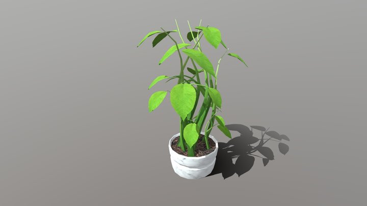 wk8_plant 3D Model
