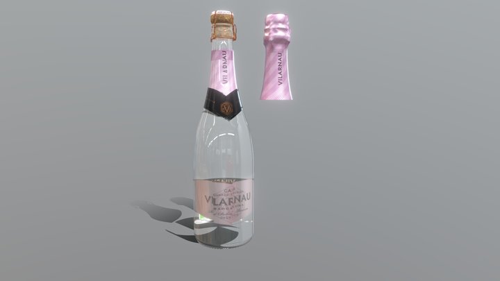 CAVA VILARNAU 3D Model