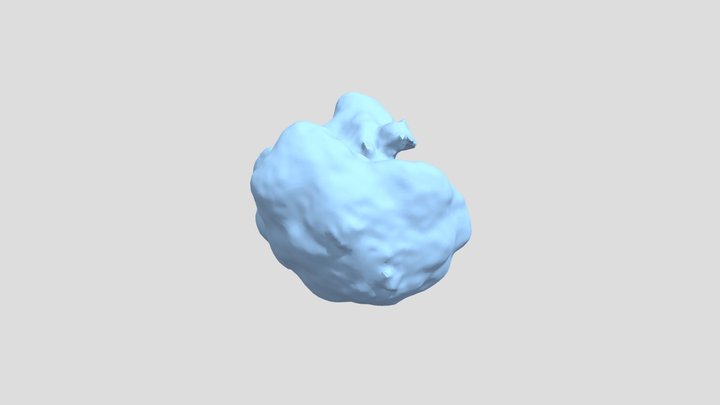 broccoli_retopology_normal map 3D Model