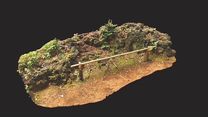 殿ヶ谷戸庭園（随冝園）の石組　　Stones　in Tonogayato Gardens 3D Model