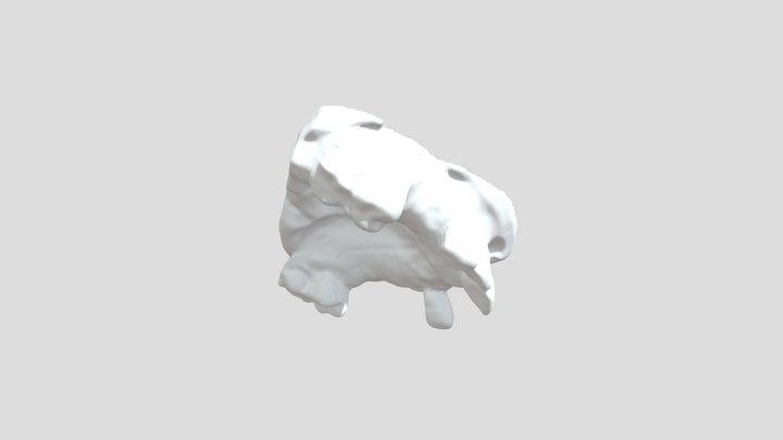 Creality Scan Lizard scan of a dental model. 3D Model