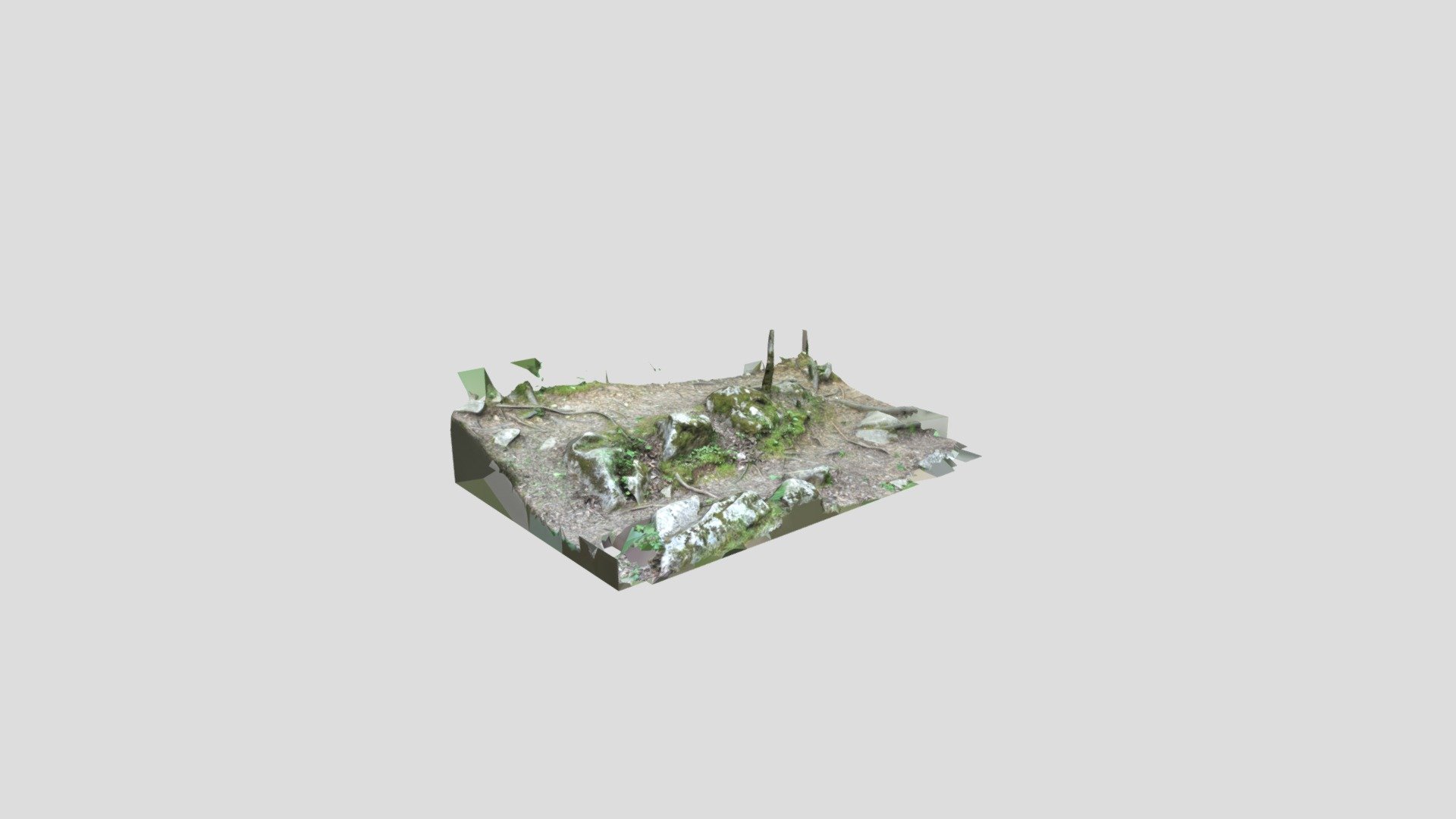 Alabama Mossy Rocks Photogrammetry