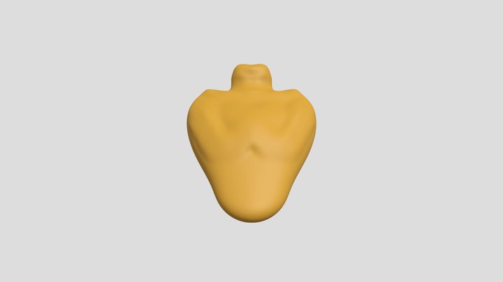 My model 3D Model