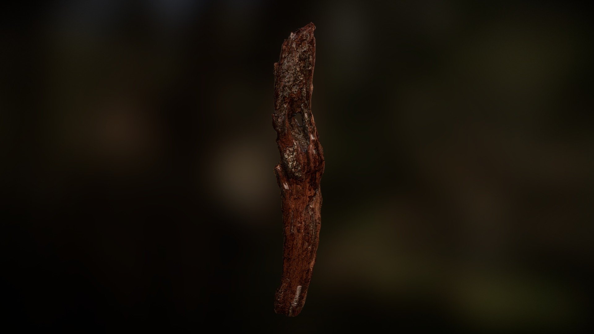 Wood Log