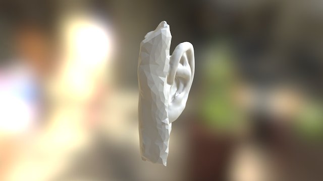 Orelha 3D Model