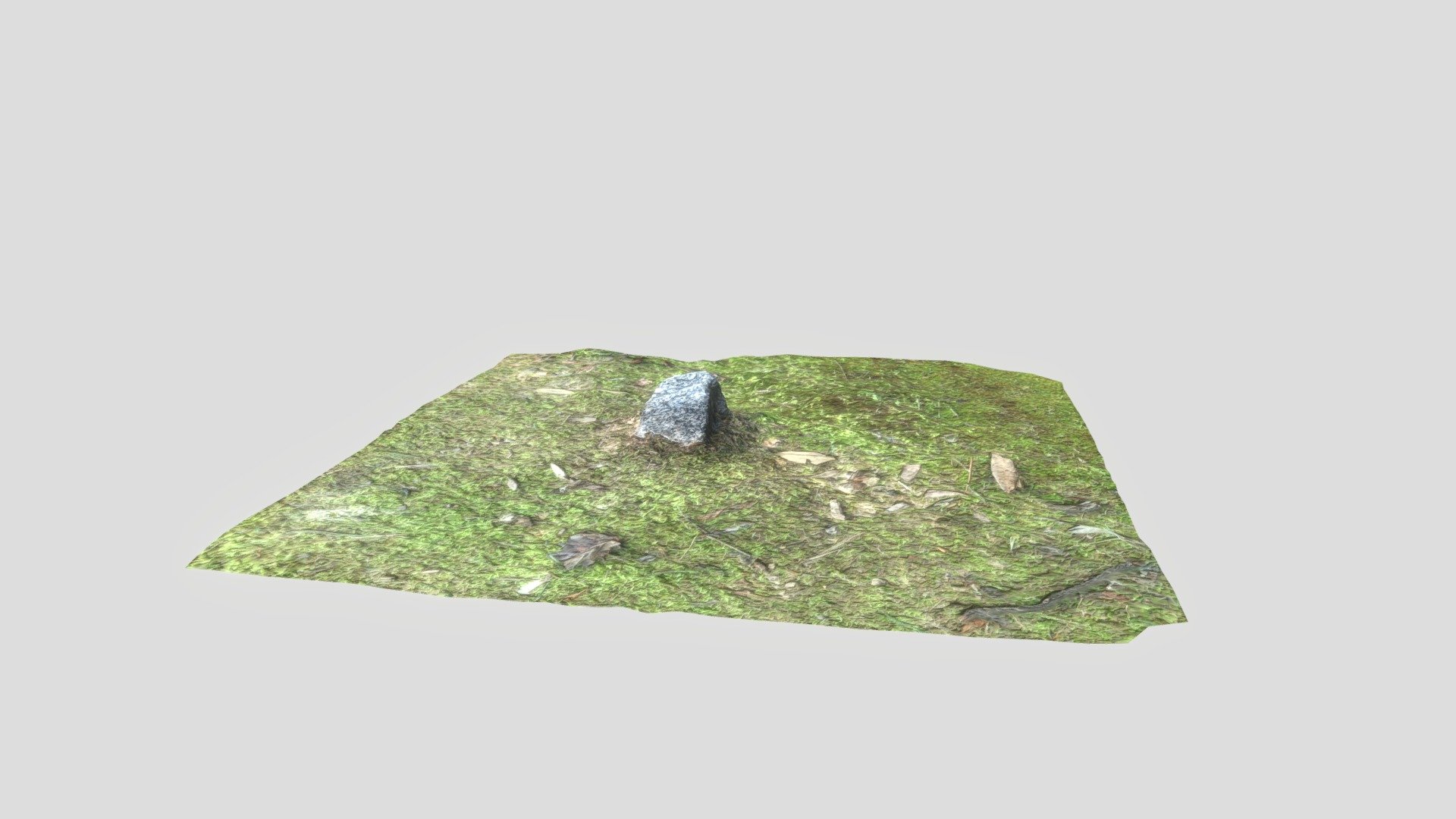 Nature: Rock Connected to Mossy Plane