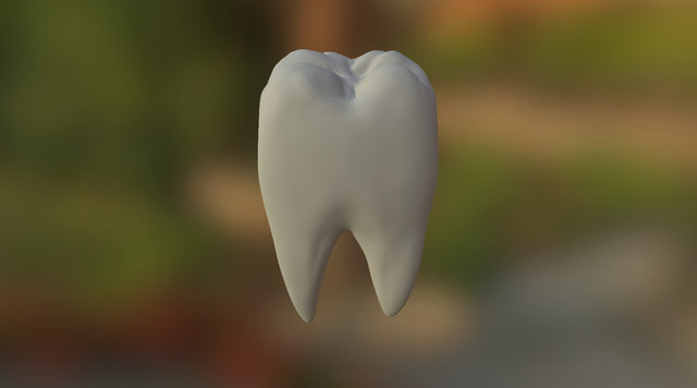 Teethzip 3D Model