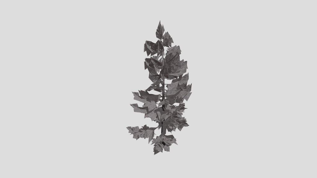 Tree Larchsiberian Bare A3