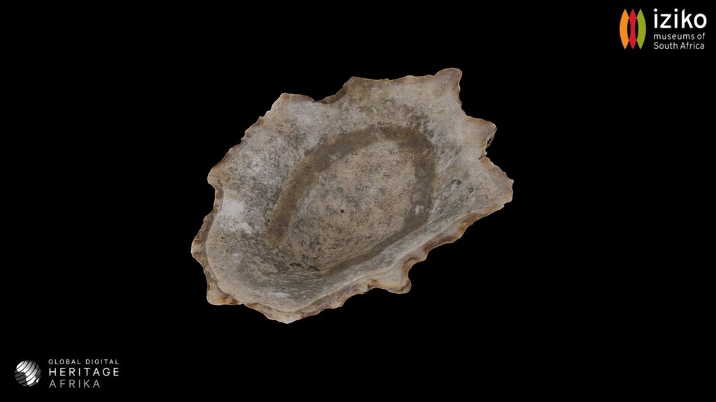 Shell