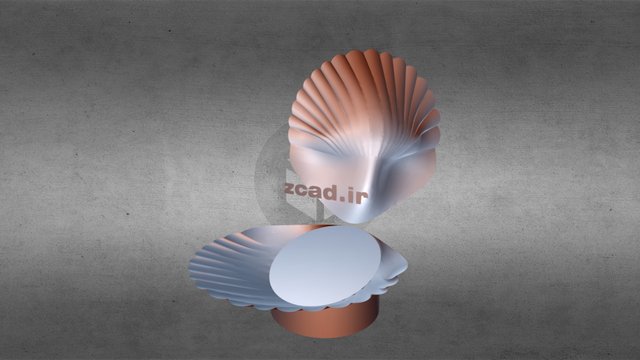 Clam 3D Model