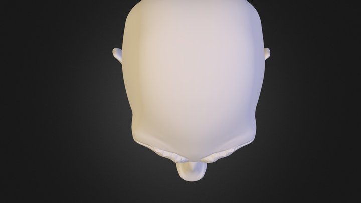 Beardman 3D Model