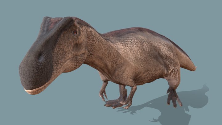 Acrocanthosaurus atokensis 3D Model