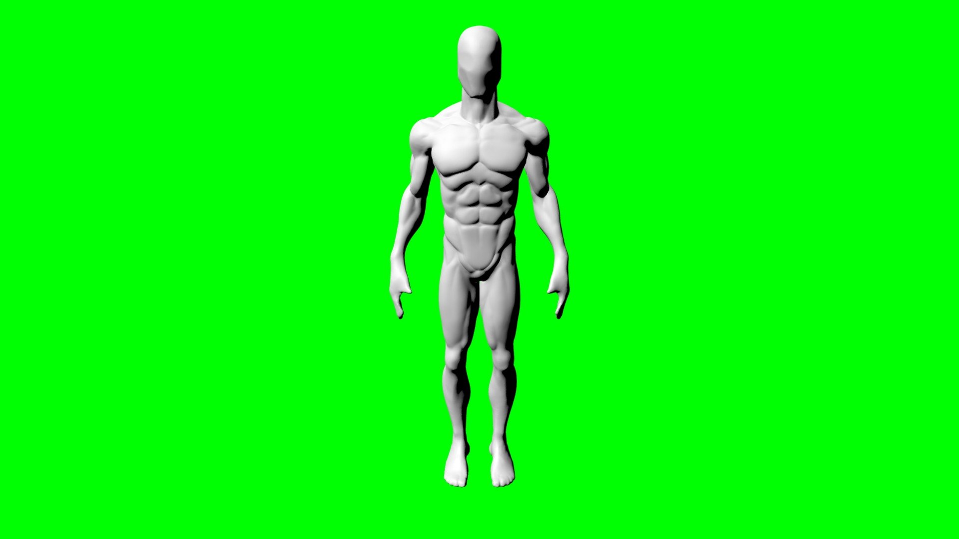 Anatomy-study-20-basemesh-human-male-body