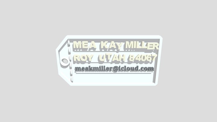 Luggage Tag 3D Model