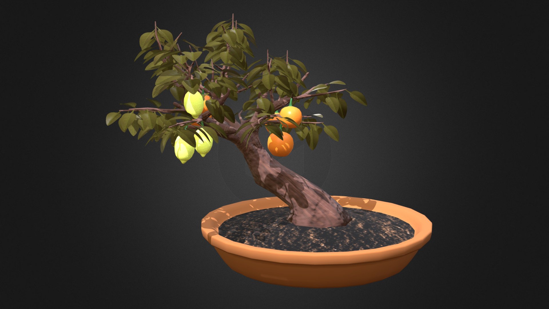 Multi-fruit Bonsai