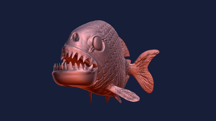 Piranha [1st time modeling] 3D Model