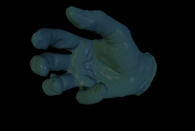 Dad Hand 3D Model