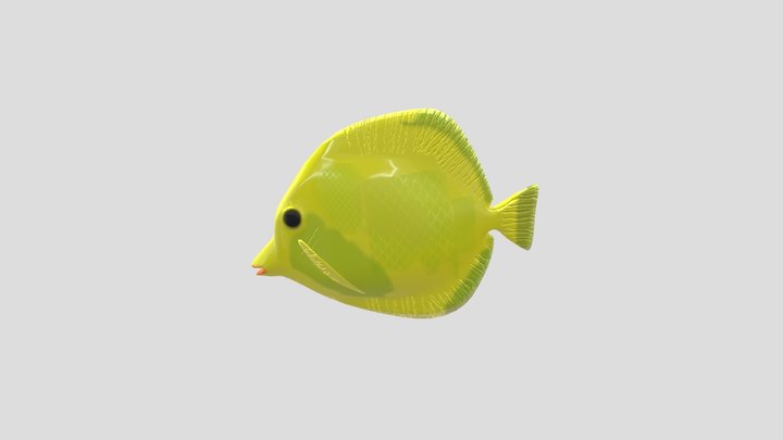 Flicker FISH 3D Model