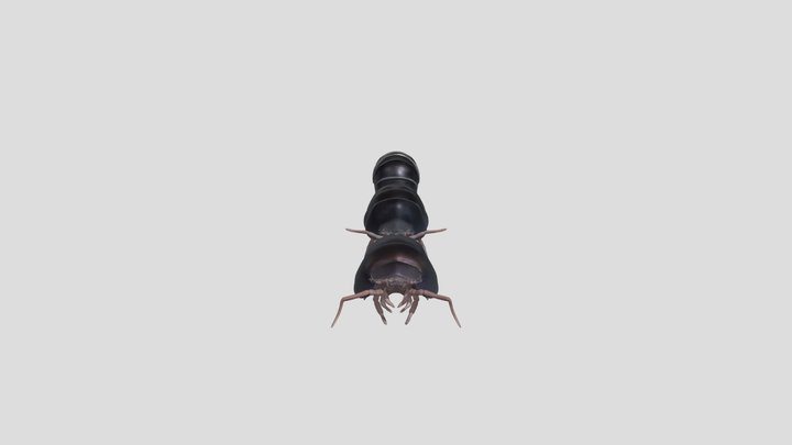 Bicho bola 3D Model