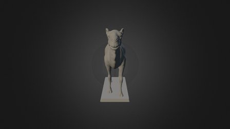 Camel 3D Model