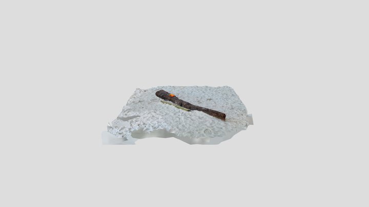 Beach log 3D Model