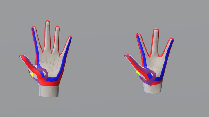 Hand 3D Model