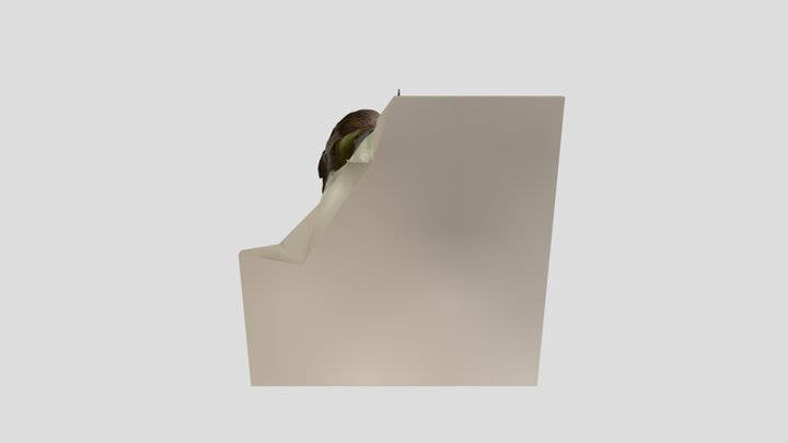 D 3D Model