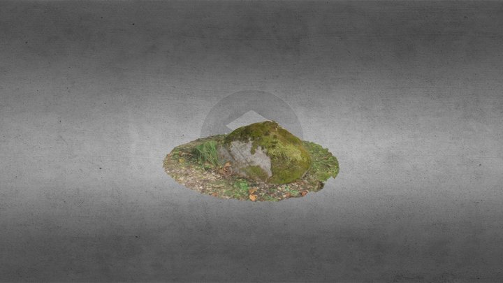 Kivi Sketchfab 3D Model