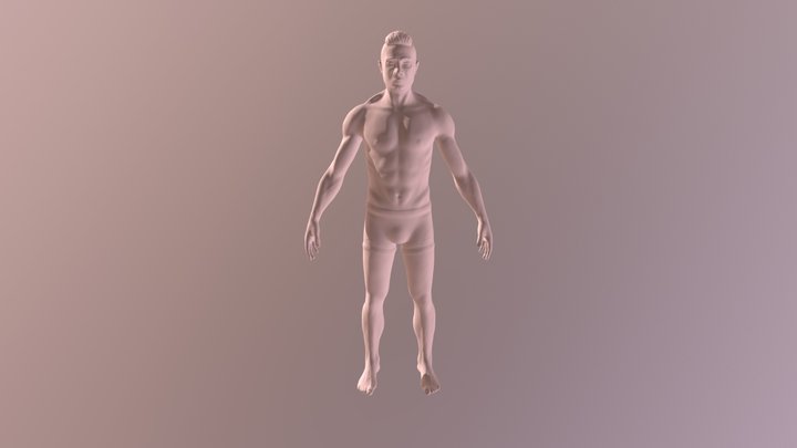Mr Bulge 3D Model