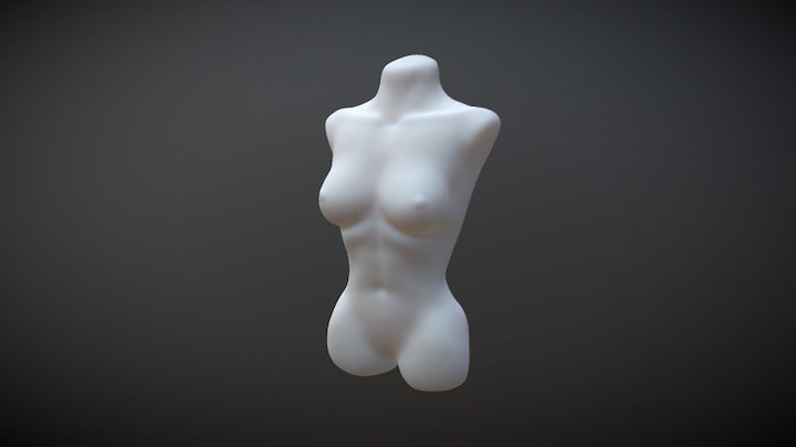Torso Study 3D Model