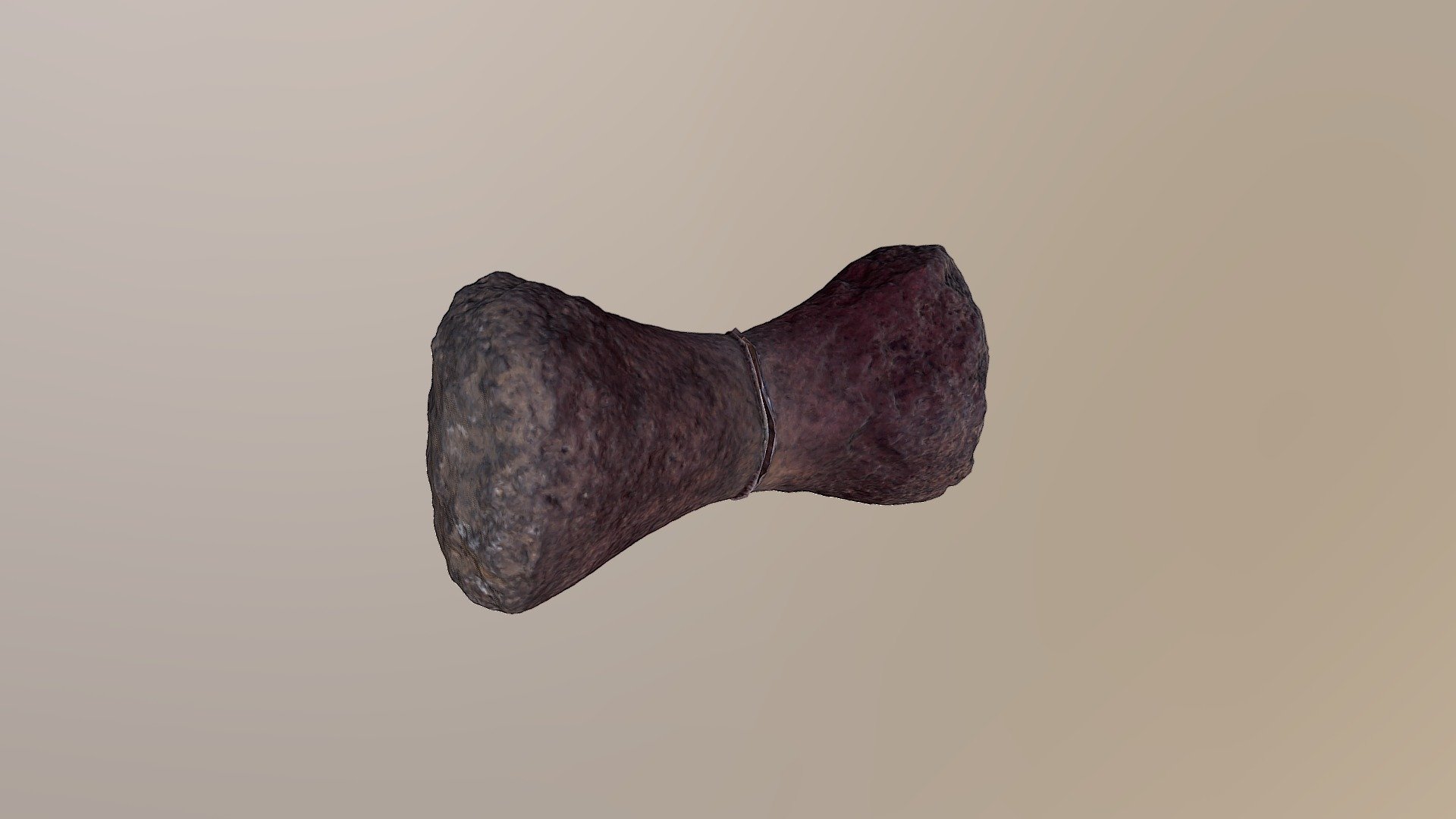 Plesiosaur phalanx