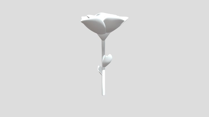 Caterina Balbi Papavero 3D Model
