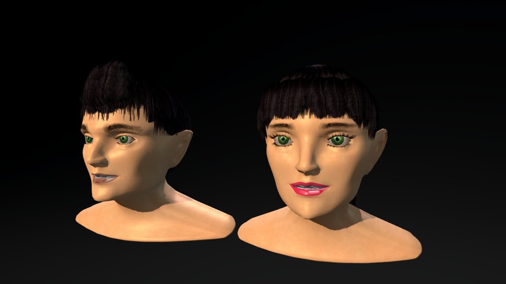 Female and Male Base Head