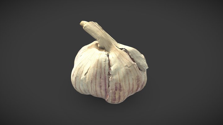 Realistic garlic 3D Model