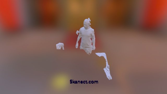 New Skanect Model 3D Model