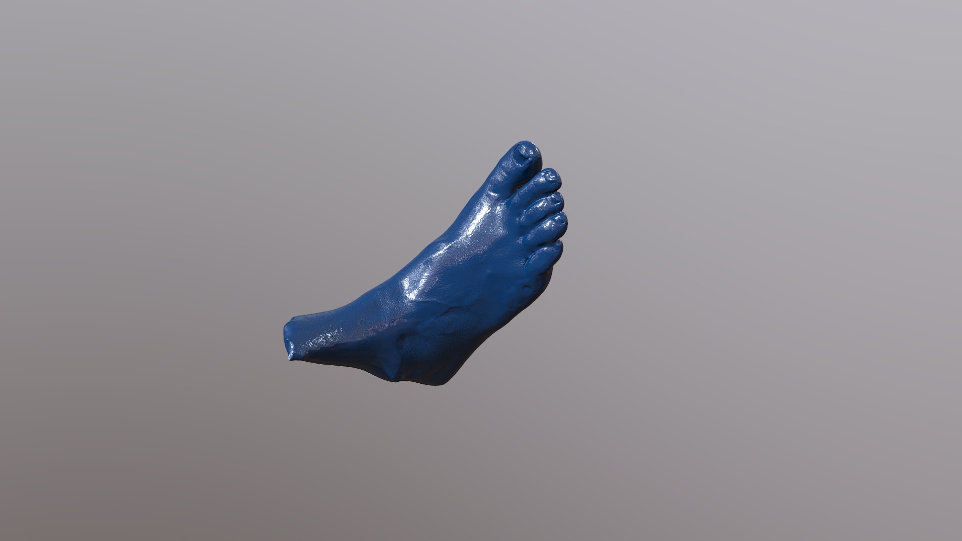 3D model Brandy FOOT - This is a 3D model of the Brandy FOOT. The 3D model is about a blue object with a white background.