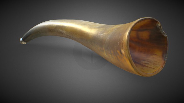 Horn (instrument) 3D Model