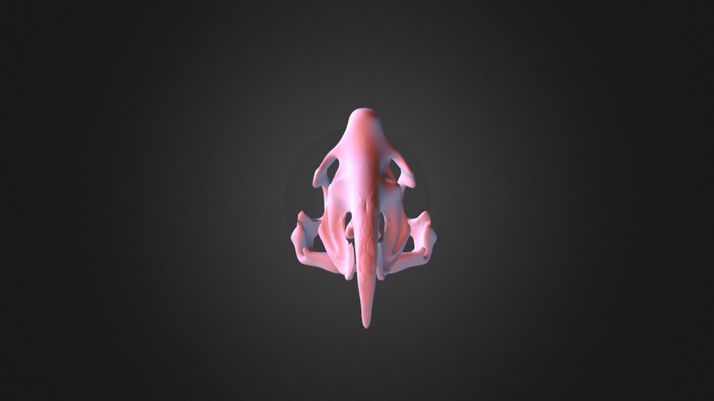 Fantasy Skull
