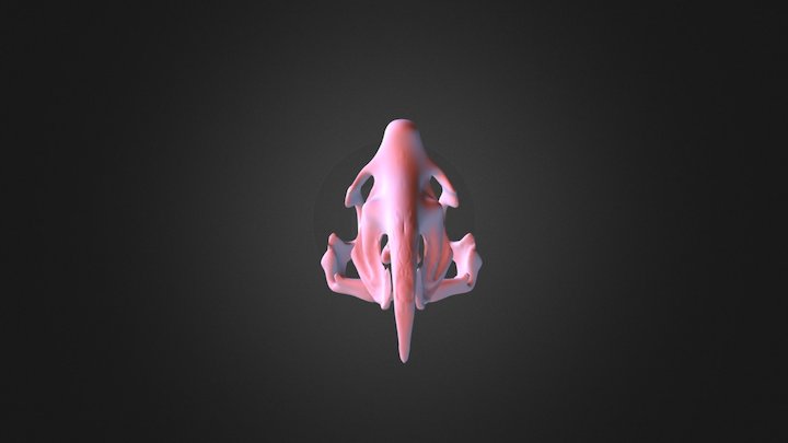 Fantasy Skull 3D Model