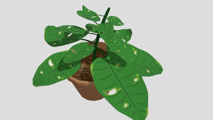 Plant_Pot 3D Model