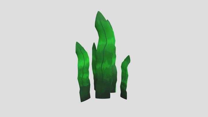 seaweed fbx 3D Model
