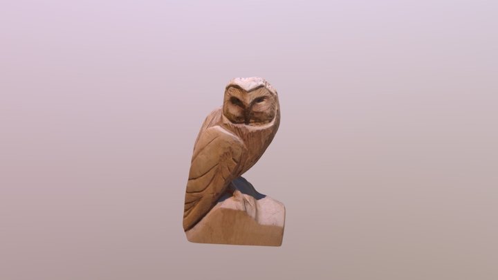 Owl 3D Model