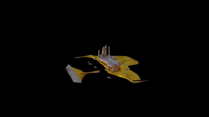 8: Pre Digital Hand - PDH 3D Model