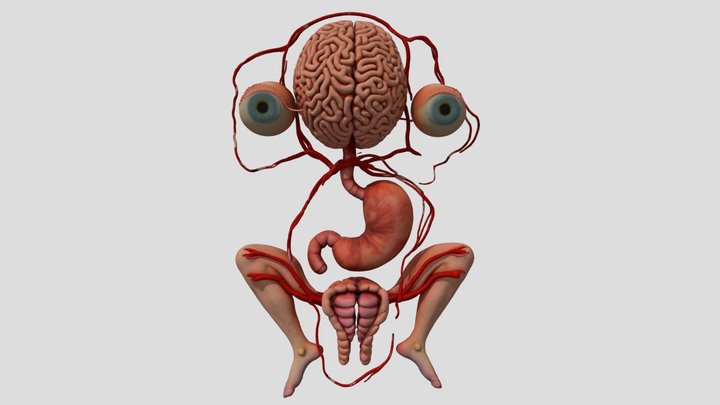 I Am The Boss - anatomy – Modello 3D gratuito STL