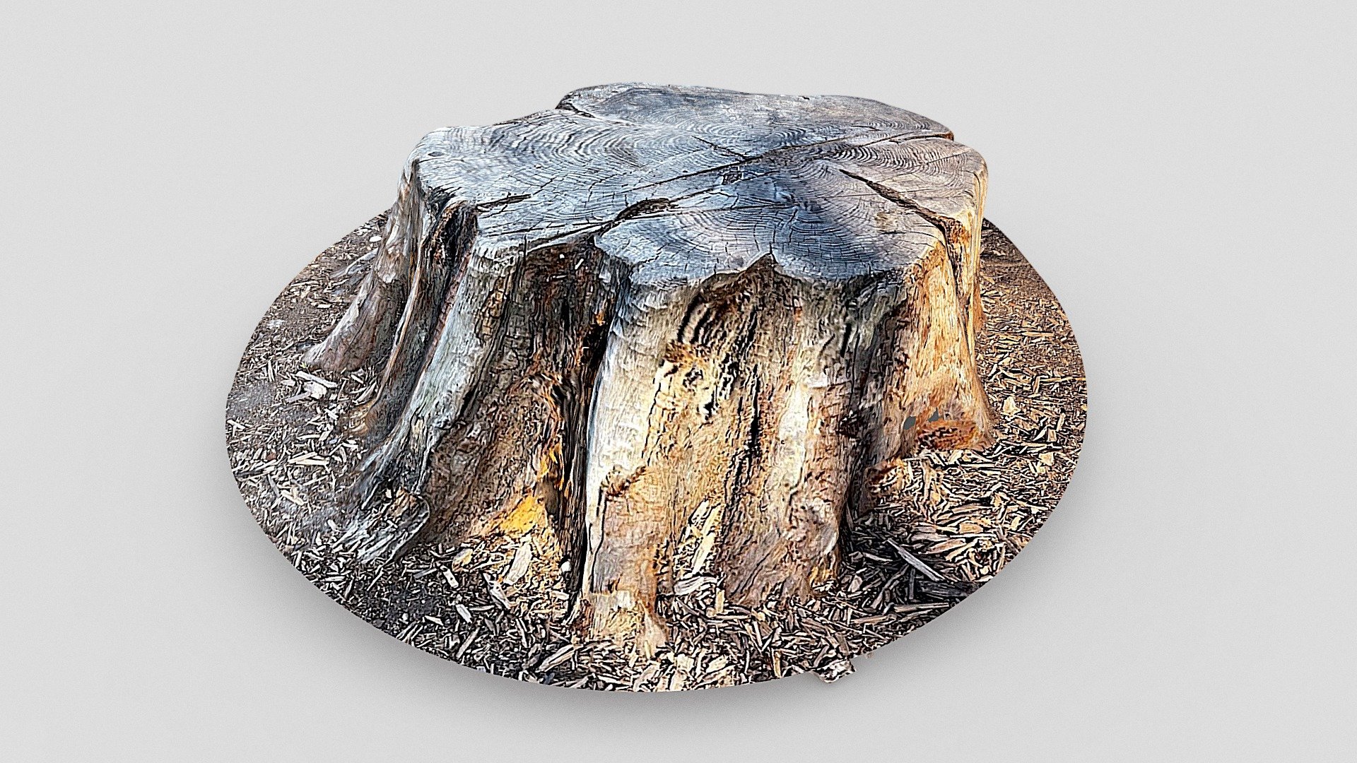 Stump (Scaniverse)