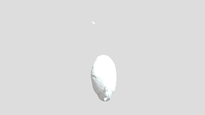 ZHB6 3D Model