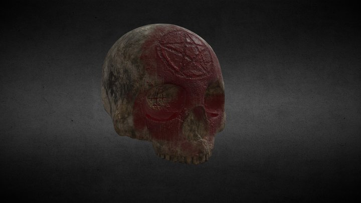 Skull 3D Model
